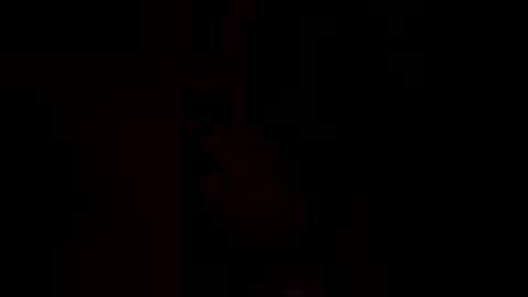 dherr568 online show from February 16, 9:38 am