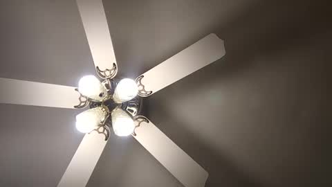 Snapshot of diamonde_steele chatting on December 12, 1:53 am diamonde_steele online show from December 12, 1:53 am