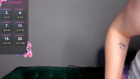 Dianne online show from January 25, 2:36 pm