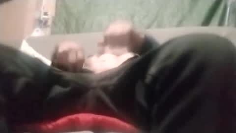 Dickbowen online show from January 13, 12:32 pm