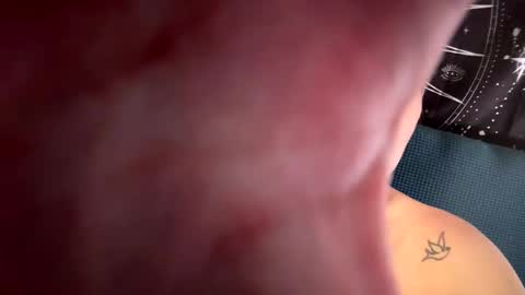 Beau online show from November 21, 3:22 pm