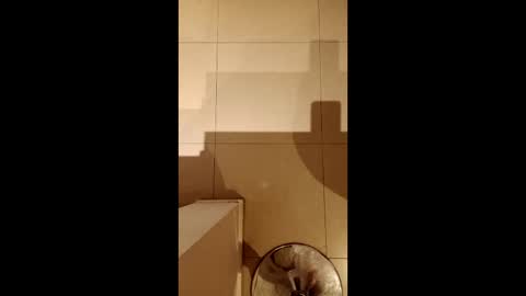 Diego online show from February 21, 10:33 pm