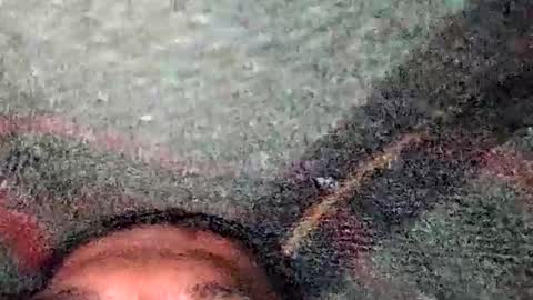 dyno online show from December 19, 5:31 pm