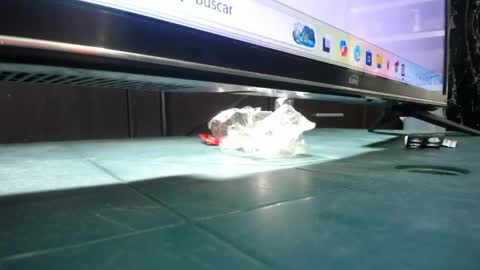 Snapshot of dinotra chatting on March 24, 7:24 am ANDREA online show from March 24, 7:24 am