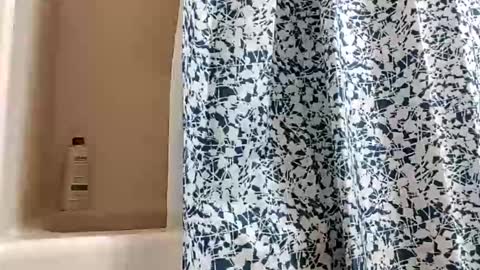 DIPSTIK online show from November 30, 1:15 pm