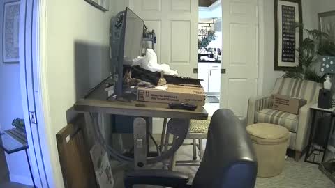 Snapshot of dirkpitt223 chatting on January 21, 7:17 pm DirtkPitt Fun guy working online show from January 21, 7:17 pm