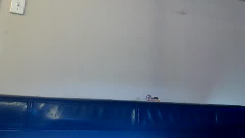 Snapshot of dirtydaisy1998 chatting on November 14, 1:32 pm Daisy Wylde online show from November 14, 1:32 pm