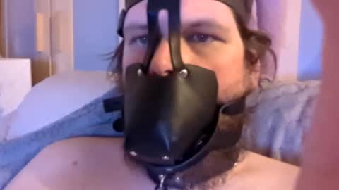 Dirtydog online show from January 15, 6:40 pm