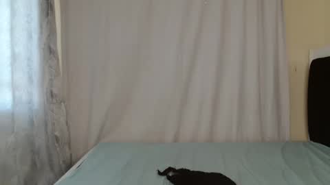 disah_002 online show from May 28, 11:18 am
