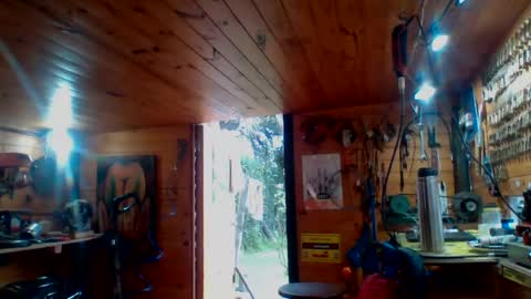 Snapshot of discretopasivo chatting on June 13, 5:00 pm discretopasivo online show from June 13, 5:00 pm