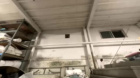 Snapshot of dishtv4all chatting on October 27, 3:21 am sexyguy online show from October 27, 3:21 am