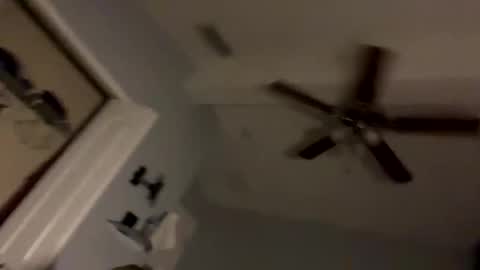 dixnice online show from February 21, 7:20 am