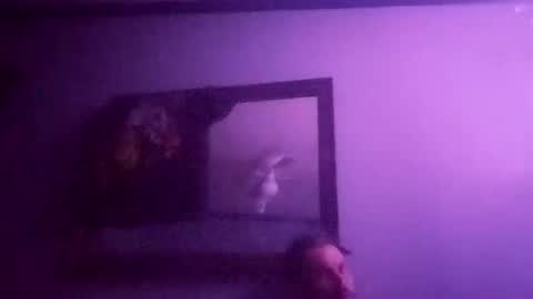 dixonbird41 online show from February 26, 6:12 am