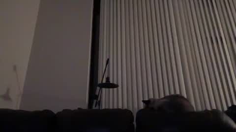 DJ Chaterbate online show from January 14, 4:07 am