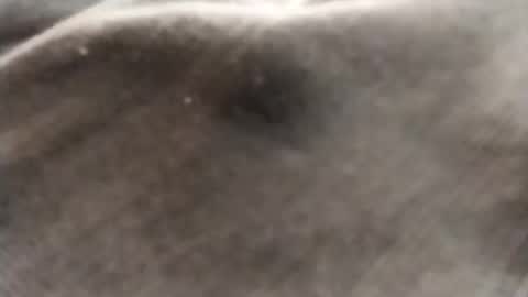 Snapshot of dlov3 chatting on February 8, 10:13 pm dlov3 online show from February 8, 10:13 pm