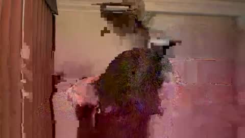 GIJO online show from March 15, 5:24 am