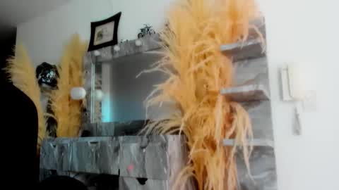 Snapshot of doll_celeste19 chatting on April 1, 8:28 pm C E L E S T E online show from April 1, 8:28 pm
