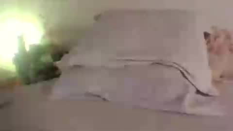 Snapshot of doll_dollys_ chatting on June 30, 5:14 pm doll_dollys_ online show from June 30, 5:14 pm