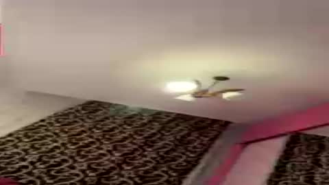 Snapshot of dollpetal chatting on July 21, 6:43 pm dollpetal online show from July 21, 6:43 pm