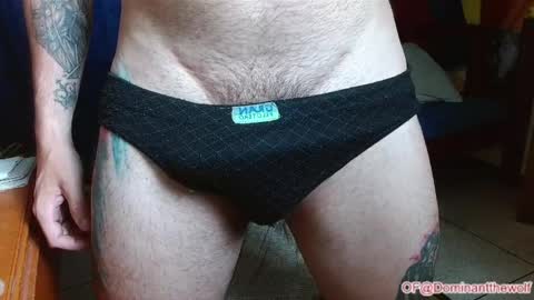 Snapshot of dominantthewolf chatting on May 27, 5:04 am Logan - INDEPENDET MODEL online show from May 27, 5:04 am