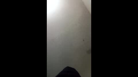 donkeykong34418301 online show from March 3, 6:08 am