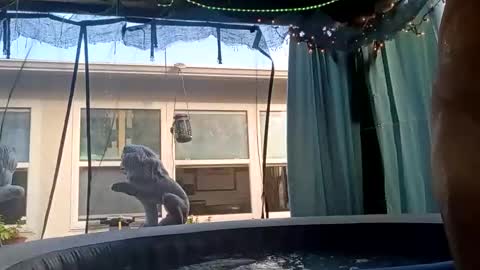 Snapshot of doobie1717 chatting on September 28, 12:43 pm doobie1717 online show from September 28, 12:43 pm