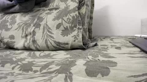 Snapshot of doriancretu95 chatting on December 31, 2:47 pm menu below online show from December 31, 2:47 pm