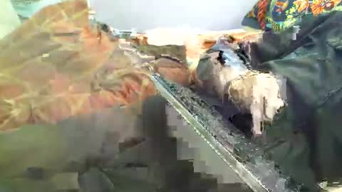 Hello  welcome to Slutsville  I am the Naked Chef  really  but you may call me Peter online show from April 18, 12:20 pm