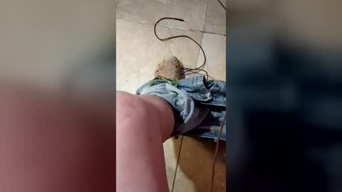 dragonhopper196262 online show from July 7, 5:28 pm
