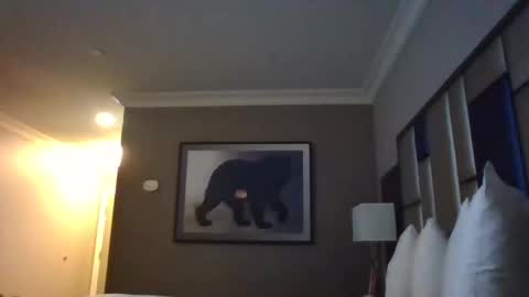 DreadedChefLoXXX online show from March 3, 6:59 am