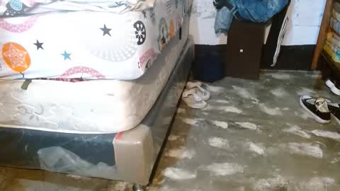 dreamreal online show from March 29, 10:37 am