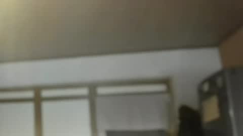 Dreambob online show from November 1, 12:07 pm