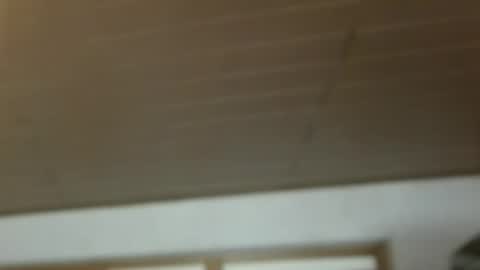 Dreambob online show from December 21, 11:17 am