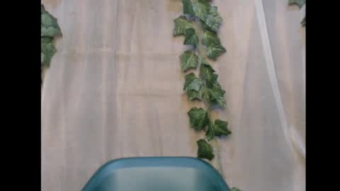 Snapshot of dripqueenx chatting on November 12, 1:50 am linda online show from November 12, 1:50 am