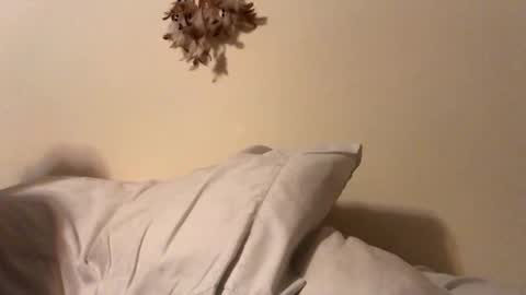 ducebabydee online show from February 5, 5:56 am