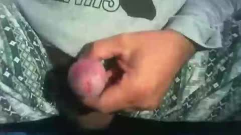 Snapshot of dude_13 chatting on October 16, 4:13 am dude_13 online show from October 16, 4:13 am