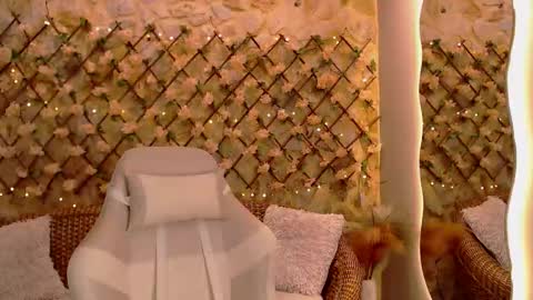 duskybeautyy online show from February 2, 1:10 pm