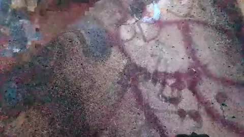 dwadek081704 online show from November 2, 2:52 pm