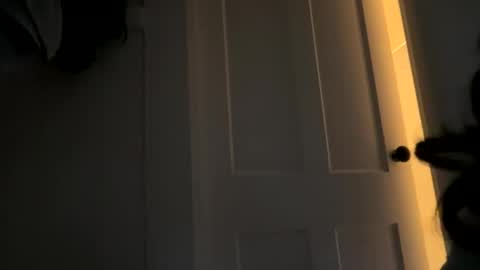 Snapshot of dynasty313 chatting on October 14, 9:59 pm Dynasty online show from October 14, 9:59 pm