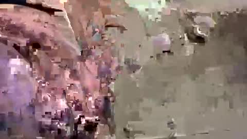 Snapshot of easye4015 chatting on January 26, 7:41 pm Easye online show from January 26, 7:41 pm