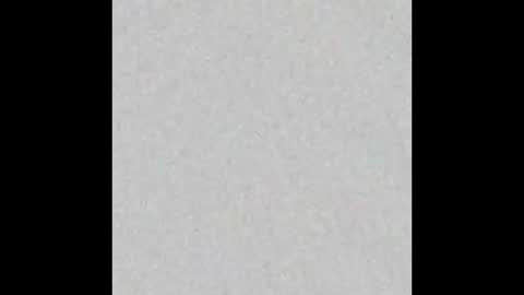 judy online show from January 12, 3:23 am