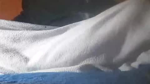 Davide online show from November 12, 6:36 am