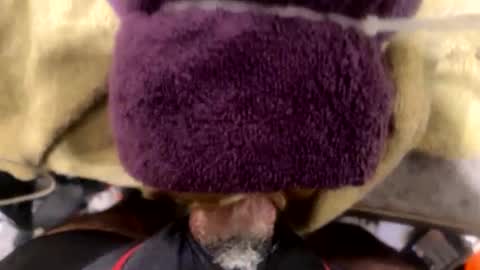 ehdgher online show from December 2, 9:03 am