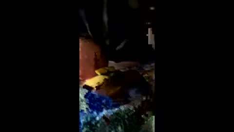 ehdgher online show from February 27, 11:21 am