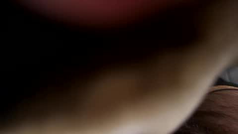 ehdgher online show from April 21, 7:47 am