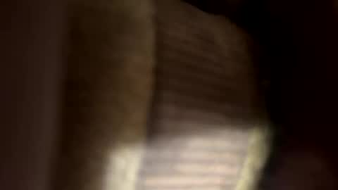 Snapshot of ehdgher chatting on April 27, 11:52 am ehdgher online show from April 27, 11:52 am