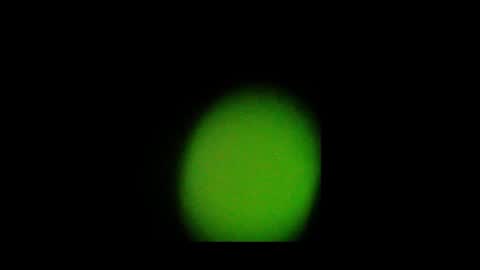 Snapshot of eldonan chatting on October 24, 2:02 pm Nando online show from October 24, 2:02 pm