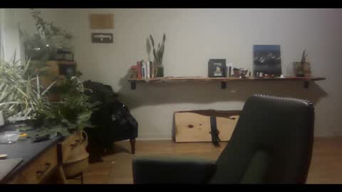 Snapshot of elephantfox chatting on March 2, 4:50 am fox online show from March 2, 4:50 am