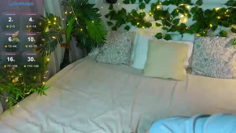 Elfa online show from February 25, 6:01 am