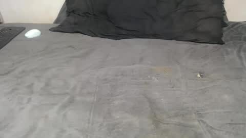 elgsslt online show from November 18, 3:38 pm